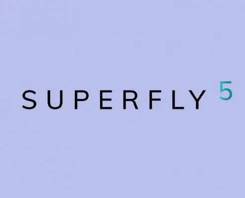 6 Best Menu Plugins for WordPress 2022 - SUPERFLY