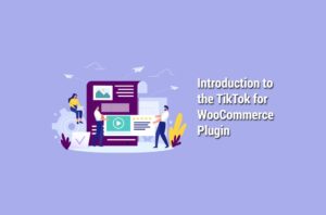 Introduction to the TikTok for WooCommerce Plugin